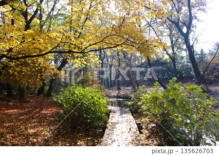 磯川緑地公園 135626703
