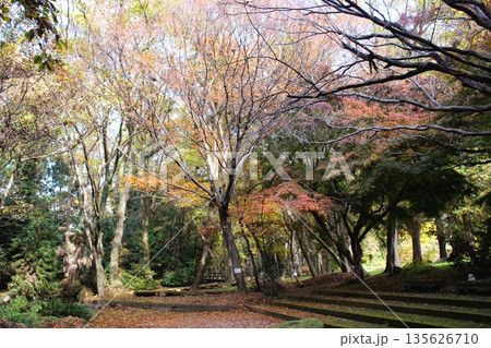 磯川緑地公園 磯川緑地公園 135626710