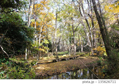 磯川緑地公園 135626711