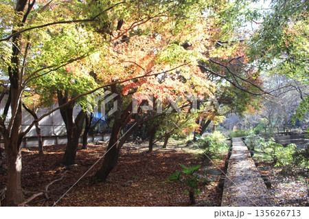 磯川緑地公園 磯川緑地公園 135626713