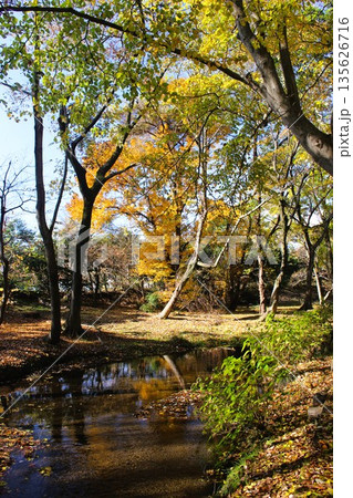 磯川緑地公園 磯川緑地公園 135626716