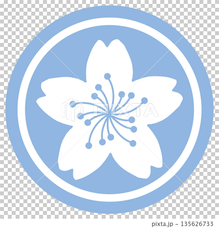 Illustration of cherry blossoms in a light blue circle 135626733