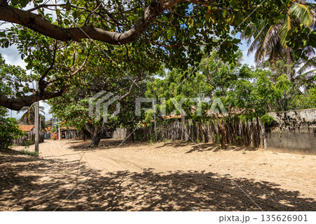 Little village located at Ilha das Canarias, Brazil. Delta do Parnaiba and Delta das Americas. Little village located at Ilha das Canarias, Brazil. Delta do Parnaiba and Delta das Americas. 135626901