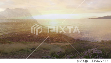Reflecting low sun on calm sea, rocky shore, showing grass tufts, purple wildflowers, distant hills 135627357