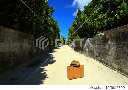 沖縄　渡名喜島の風景 135627800