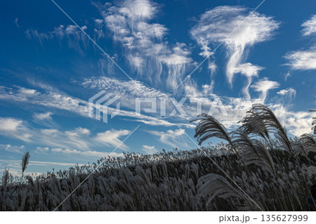 生石高原の日暮れ 生石高原の日暮れ 135627999