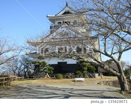 千葉県館山市!冬の館山城天守閣 千葉県館山市!冬の館山城天守閣 135628071