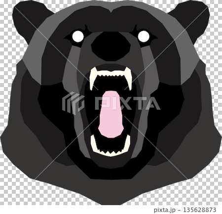 兇猛的熊臉正面 135628873