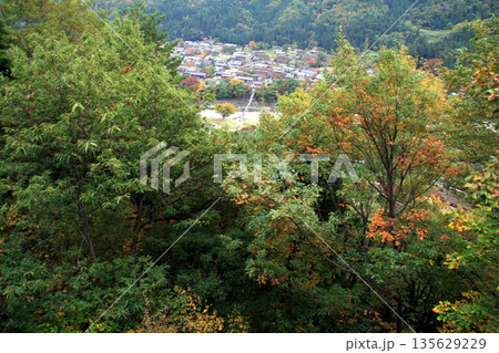 ホワイトロード入口付近から見た白川郷の紅葉 135629229