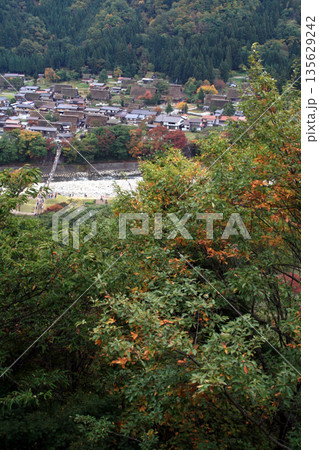 ホワイトロード入口付近から見た白川郷の紅葉 135629242