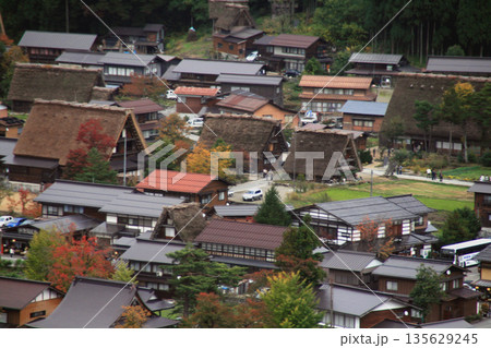 ホワイトロード入口付近から見た白川郷の紅葉 ホワイトロード入口付近から見た白川郷の紅葉 135629245
