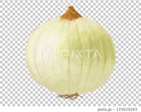 皮を剥いた玉ねぎのイラスト 皮を剥いた玉ねぎのイラスト 135629265