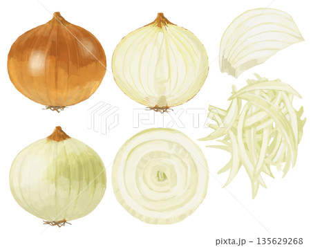 玉ねぎのイラストセット 玉ねぎのイラストセット 135629268