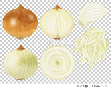 玉ねぎのイラストセット 玉ねぎのイラストセット 135629268