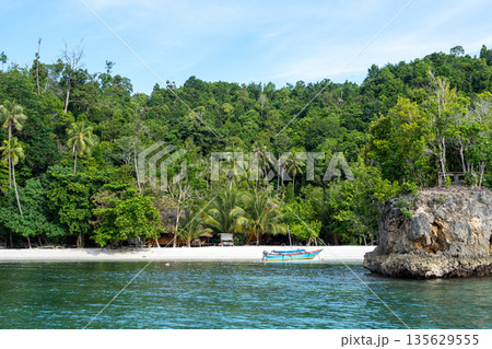 Pirogue on Lia beach, Waleakodi Island, Togian archipelago, Sulawesi, Indonesia 135629555