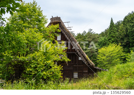 Traditional houses of Hida Minzoku Mura Folk Village in Takayama 135629560