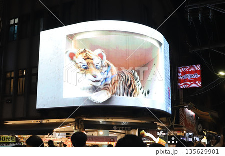 士林夜市　夜市　台湾　台北 135629901