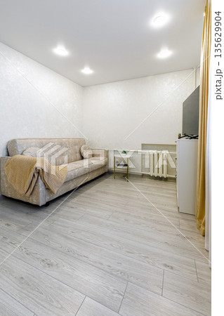 Bright modern studio apartment interior with sofa and TV area 135629904