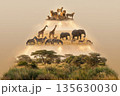 Wildlife pyramid illustration featuring lions, giraffes, elephants, zebras, and antelopes in savanna landscape 135630030