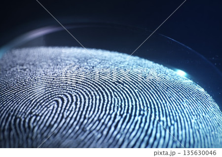 Close-up view of a fingerprint pattern illuminated by soft blue light on a dark background 135630046