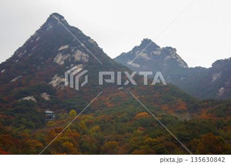 This is a Korean autumn mountain landscape. This is a Korean autumn mountain landscape. 135630842