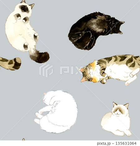 寝ている・リラックスしている長毛猫のシームレスパターン　動物・ペットの手描き水彩イラスト背景素材 135631064