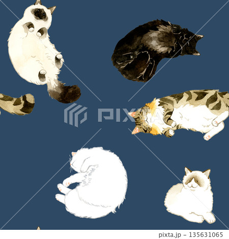 寝ている・リラックスしている長毛猫のシームレスパターン 動物・ペットの手描き水彩イラスト背景素材 寝ている・リラックスしている長毛猫のシームレスパターン 動物・ペットの手描き水彩イラスト背景素材 135631065