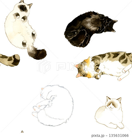 寝ている・リラックスしている長毛猫のシームレスパターン　動物・ペットの手描き水彩イラスト背景素材 135631066