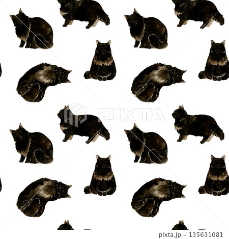 黒色の長毛猫のシームレスパターン　動物・ペットの手描き水彩イラスト背景素材 135631081