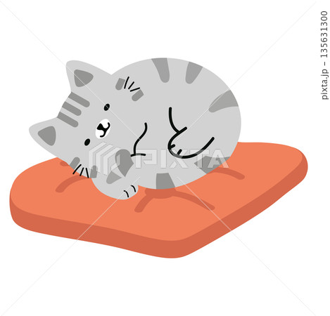 Cute Cat Sleeping on Orange Cushion 135631300