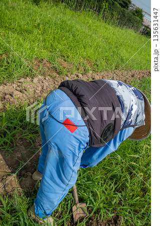 various various 135631447