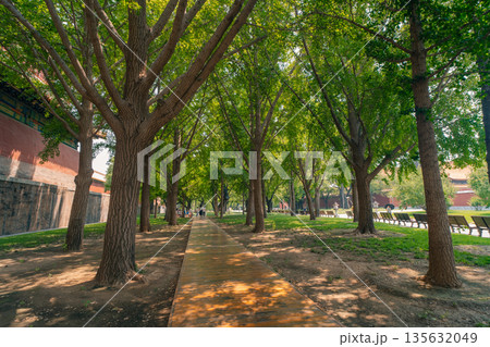 Beijing,China. - may 2 2025 Palaces, pagodas inside the territory of the Forbidden City Museum Beijing,China. - may 2 2025 Palaces, pagodas inside the territory of the Forbidden City Museum 135632049
