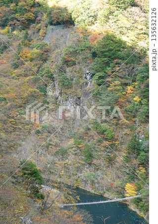 寸又峡 夢のつり橋 135632126