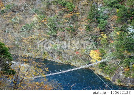 寸又峡 夢のつり橋 135632127
