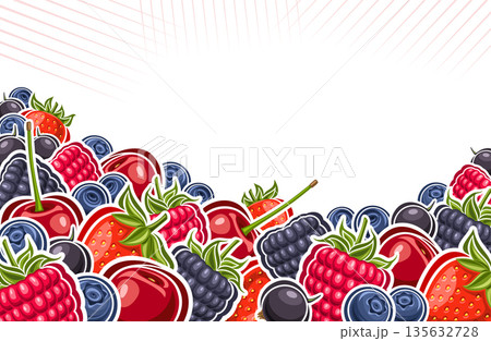 Vector illustration of Berries Vector illustration of Berries 135632728