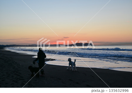 辻堂海岸の日の出 135632996