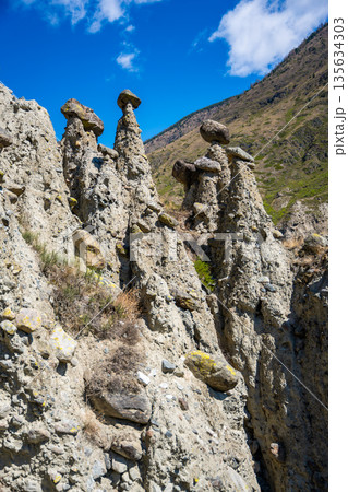 Natural stone mushrooms rock formations in Altai Russia Famous geological landmark and popular tourist attraction Natural stone mushrooms rock formations in Altai Russia Famous geological landmark and popular tourist attraction 135634303