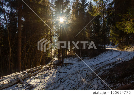 Morning walk through the forest on the mountain on a winter day Morning walk through the forest on the mountain on a winter day 135634776