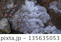 横谷峡の飛沫氷 135635053