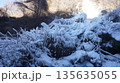 横谷峡の飛沫氷 135635055