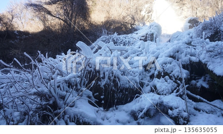 横谷峡の飛沫氷 135635055