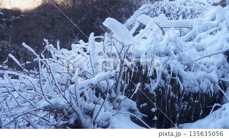 横谷峡の飛沫氷 135635056