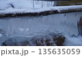 横谷峡の飛沫氷 135635059