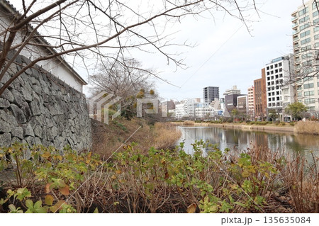 2024年・福岡・福岡市・風景・中央区城内・舞鶴公園・其の四十一 2024年・福岡・福岡市・風景・中央区城内・舞鶴公園・其の四十一 135635084