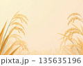 稲の穂の秋の風景 135635196