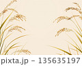 稲穂のクローズアップ 135635197