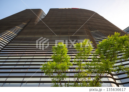 Wavy Skyscraper with Green Trees in Foreground Wavy Skyscraper with Green Trees in Foreground 135636617