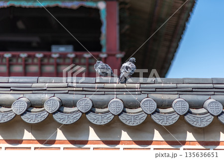Pigeons on Traditional Korean Roof Pigeons on Traditional Korean Roof 135636651