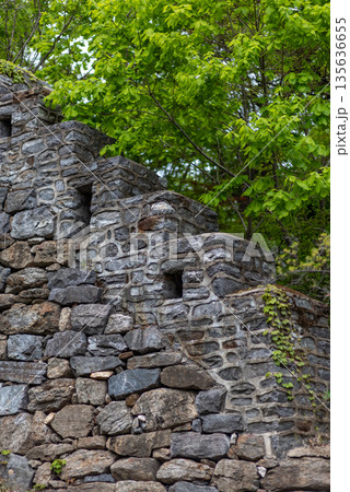 Stone Wall with Steps and Greenery 135636655
