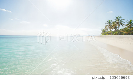 Tropical beach landscape with white sand palm trees and turquoise ocean water summer vacation concept paradise island nature travel holiday Tropical beach landscape with white sand palm trees and turquoise ocean water summer vacation concept paradise island nature travel holiday 135636698